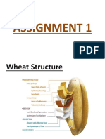 Wheat Structure.docx