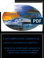 La Contaminacion Ambiental