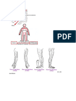 Circulation of Qi