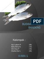 BUDIDAYA IKAN BANDENG Fix