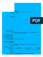 Template CV in Romana