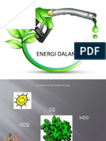 Energi Dalam Biologi