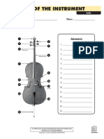 Parts of The Instrument: Answers