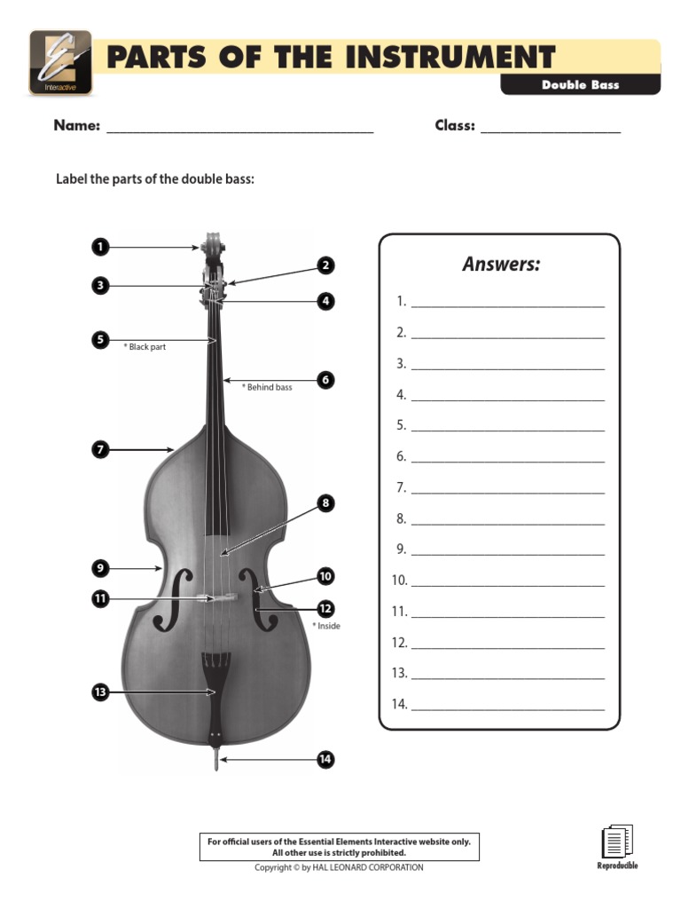 Parts of The Instrument Double Bass Copyright Law Law