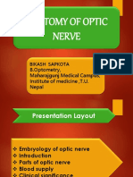 Anatomy of Optic Nerve: B.Optometry, Maharajgunj Medical Campus, Institute of Medicine, T.U. Nepal