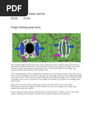 lazy