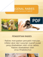 Mengenal Rabies