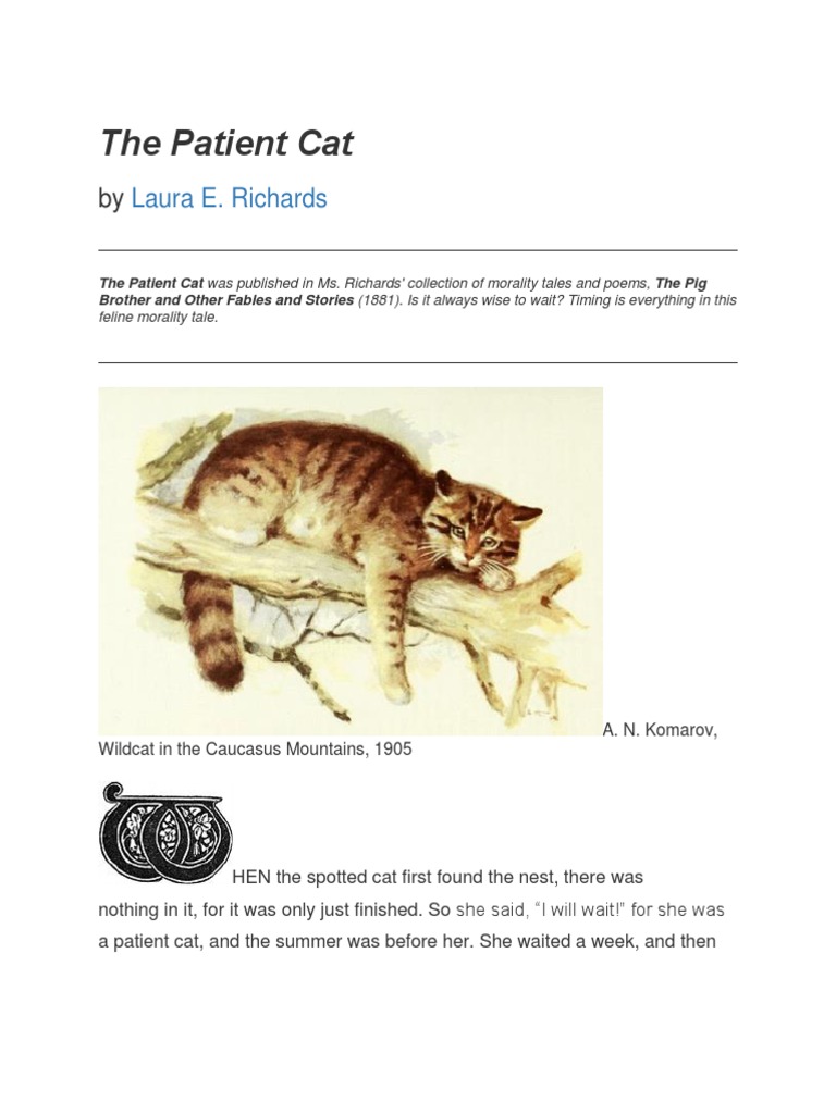 The Patient Cat Cats Psychology & Cognitive Science