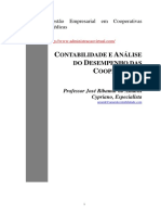 81879573-Contabilidade-Analise-Desempenho-Das-Cooperativas.pdf