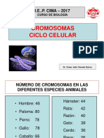 CROMOSOMAS-CACEDA