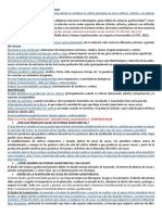 Qué es Sistema Agroforestal. DOC.docx