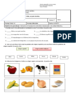 Prueba Historia Mestizaje 2°