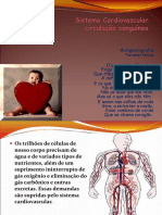 Sistema Cardiovascular 8 ano.ppt