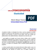 Apunte N°3 - Elasticidad PDF