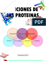 Funciones de Las Proteinas