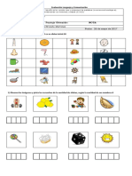 Prueba Lenguaje S, T, D, N 2017