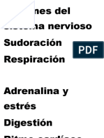 Acciones Del Sistema Nervioso