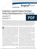Suspensory Ligament Rupture Tech During Small Animal OH PDF