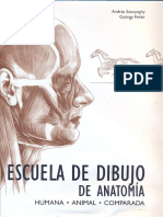 Dibujo de Anatomia PDF