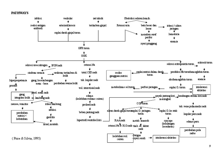 Pathways KCF | PDF