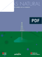 Gas natural.pdf