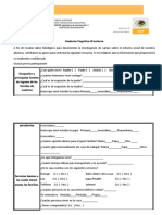 Andamio Cognitivo El Entorno