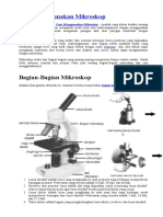 Cara Menggunakan Mikroskop