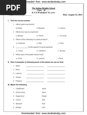 cbse class 2 evs practice worksheets 18 plants pdf plants trees