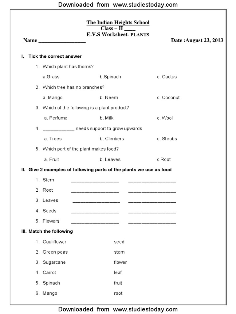 cbse class 2 evs practice worksheets 18 plants pdf plants trees
