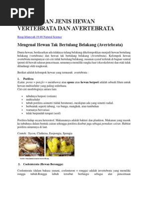 770+ Hewan Bertulang Belakang Beserta Gambar HD