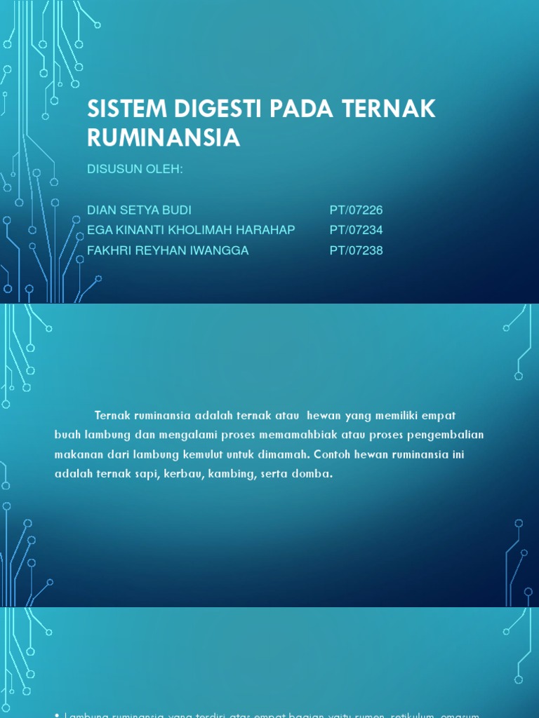 Persentation Sistem Digesti Pada Ternak Ruminansia Pptx