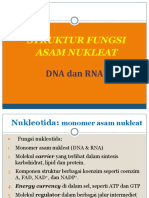 DNA STRUKTUR FUNGSI