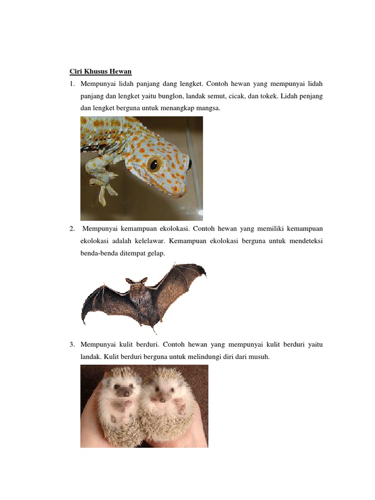 Ciri Khusus Hewan Dan Tumbuhan