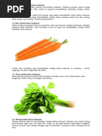 Download 1 Tumbuhan Sebagai Bahan Makanan by berd zain SN357969869 doc pdf