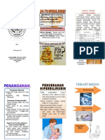 Leaflet Hiperbilirubin NICU