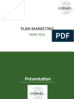 Ed 001 Quelques Element Du Plan Marketing Capi Projets