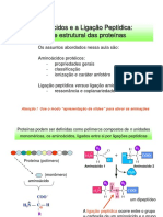 Aminoácidos e Peptídeos40