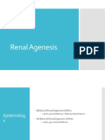 Renal A