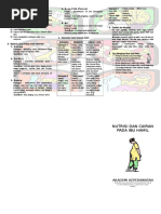 Leaflet Nutrisi Bagi Ibu Hamil