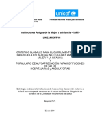 lineamientos-IAMI-2011.pdf