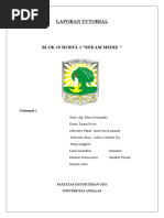 Download Laporan Tutorial blok 19 modul 1 by zakiyachaleda SN357995420 doc pdf