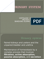 23022016 - Histology of Urinary System 