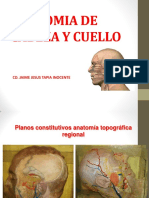 Anatomia de Cabeza y Cuello