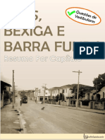 Brás, Bexiga e Barra Funda: Resumo Por Capítulo