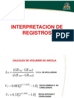 Intertretacion de Registros 2017