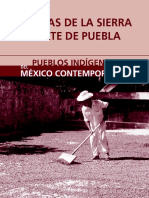 nahuas-puebla.pdf