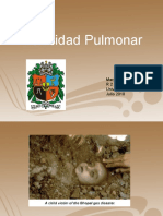 Toxicidad Pulmonar