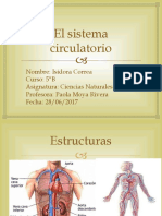 El Sistema Circulatorio