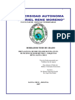 Zao de Aguiar-20101104-110155 PDF