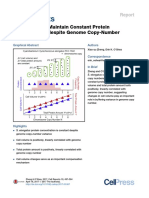 Cyanobacteria Maintain Constant Protein Concentration Despite Genome Copy-Number Variation